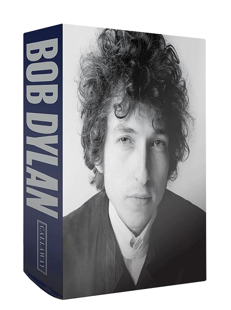 Life is about creating yourself': on Bob Dylan: Mixing Up the Medicine, Books